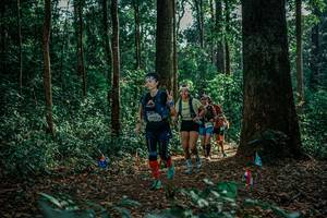 BIB: 
                            <button type="button" onclick="openModal(26128147)" class="btn btn-primary btn-sm float-right btn-popup" data-toggle="modal" data-target=".modal-high-quality">
                        <i class="fas fa-shopping-cart"></i> Add to Cart
                    </button>
                                            <button type="button" onclick="isThisMe(26128147, true)" class="btn btn-success btn-sm float-right btn-popup btn-isme hidden" data-toggle="tooltip" data-placement="bottom" title="นี่คือรูปของคุณใช่ไหม คลิกที่นี่เพื่อเอาเข้าอัลบั้ม">
                        <i class="fas fa-plus"></i> Add to album
                    </button>
                    <button type="button" onclick="isThisMe(26128147, false)" class="btn btn-warning btn-sm float-right btn-popup btn-isnotme hidden">
                        <i class="fas fa-ban"></i> Remove from album
                    </button>